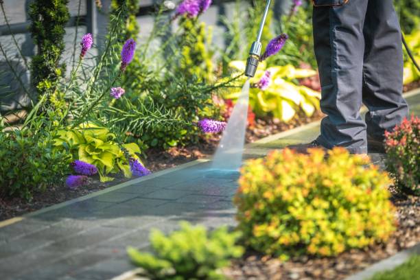 Best Patio and Deck Pressure Washing  in Columbia City, IN